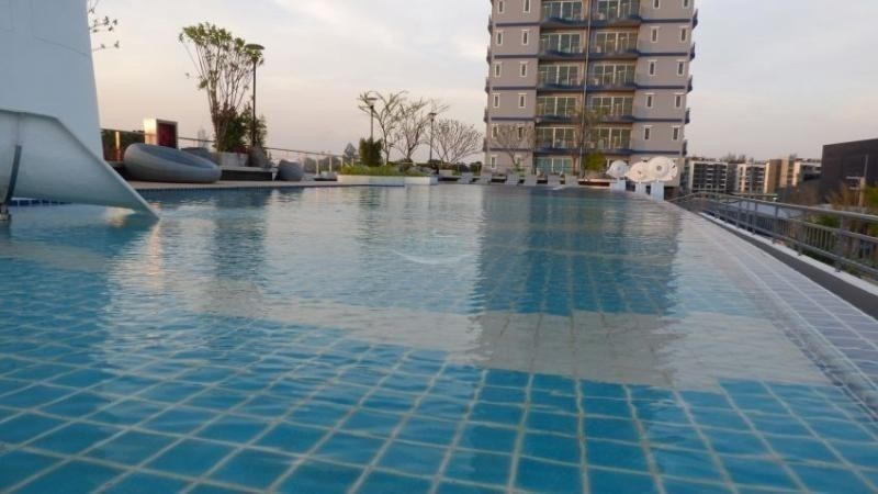 Supalai Mare Condominium Pattaya - Condominium - Pattaya City - Pattaya City